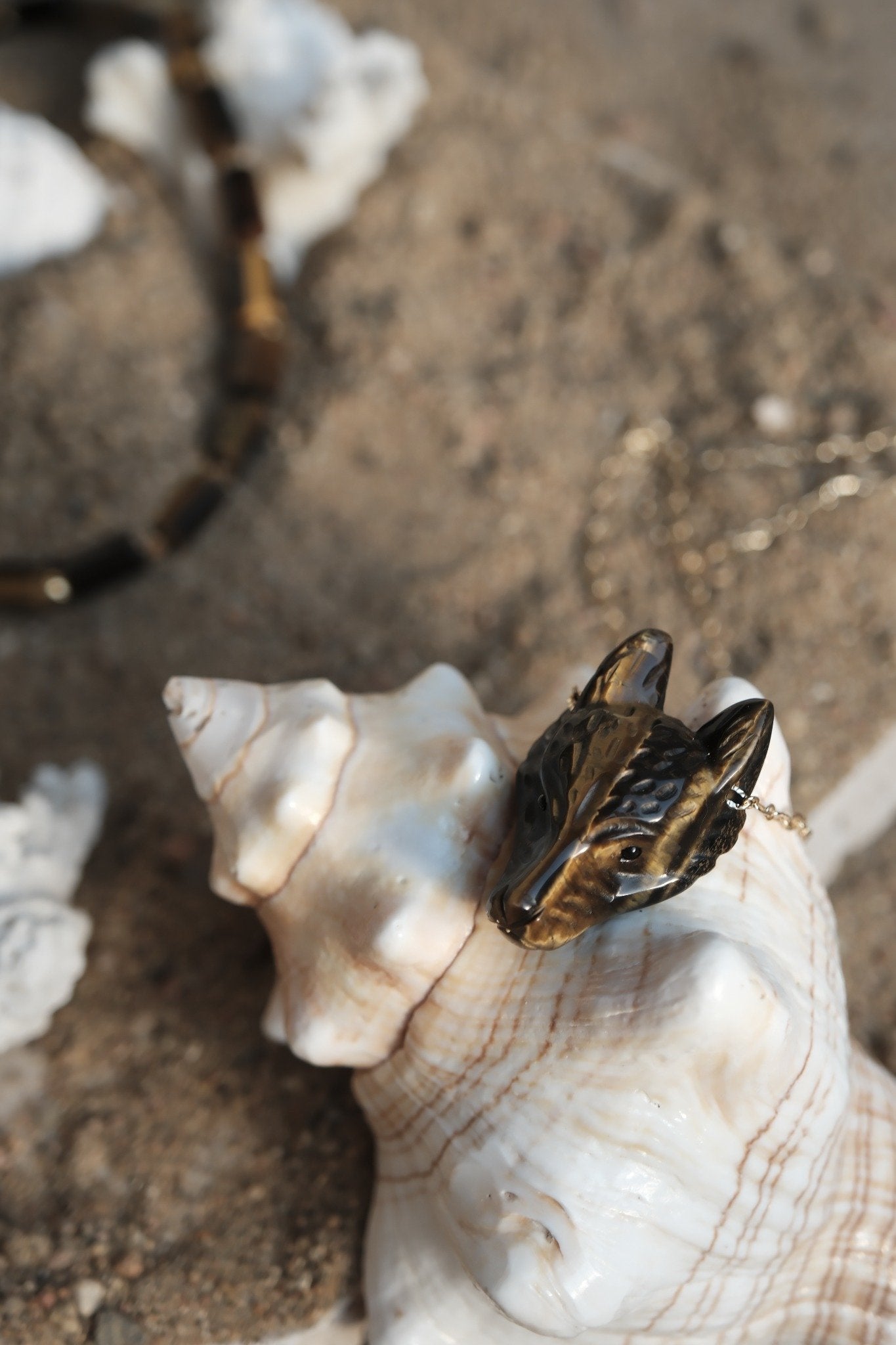 Pendentif tête de loup sculpté en pierre naturelle œil de tigre posé sur un coquillage.